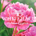 whitehallgardencentre.co.uk logo