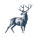 White Hart logo