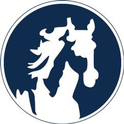White Horse Auto Wash logo