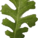 E One Management logo