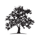 White Oak Global Advisors logo