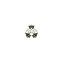White Otter Design Co