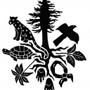 White Pine Programs logo