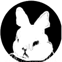 whiterabbit logo