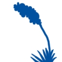 White Sands Construction Inc logo
