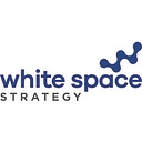 White Space Strategy Ltd logo