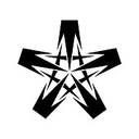 White Star Electric logo