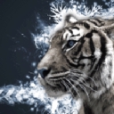White Tiger Search logo