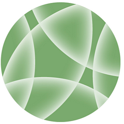 wholehealthchicago.com