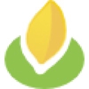 wholemeal.co.nz icon
