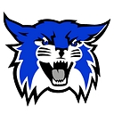 Wallace Public School District 65 R logo