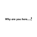 Why are you here?