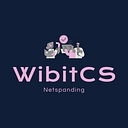 Wibit Consulting & Services (WibitCS)