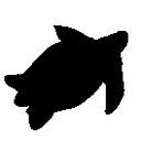 WIDECAST Wider Caribbean Sea Turtle logo