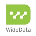 Widedatacorp logo