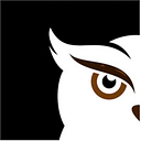 Wider Security logo