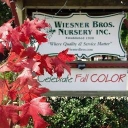 Wiesner Brothers Nursery logo