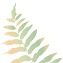 Wilcox Nursery logo