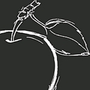 Wild Apple Graphics logo