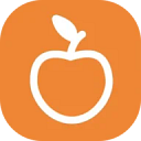 WildApricot logo