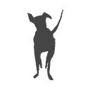 Wild At Heart Foundation logo