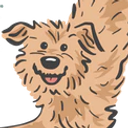 Wild at Heart Pet Company