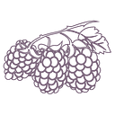 Wildberries logo