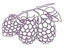 Wildberries Marketplace logo