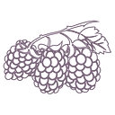 Wildberries logo