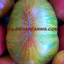 Wild Boar Farms logo