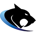 Wildcat Lending logo