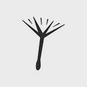 Wilder Botanics logo