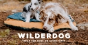 Logo for wilderdog.com