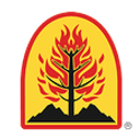 Wildfire Defense Systems, Inc. logo