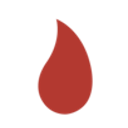 Wildfire Network logo