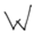Logo for wildfloradesign.com