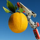 Wildflower Seed & Tool Company