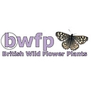 British Wild Flower Plants logo