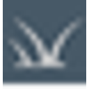 WILD GEESE FOUNDATION INC logo