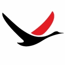 WILD GOOSE CHASE INC