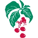 Wildland Consultants Ltd logo