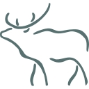 National Museum of Wildlife Art