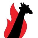 Wild Nature Institute logo