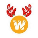 Wildnet Technologies logo