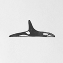 Wild Orca logo