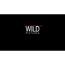 Wild Pictures logo