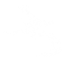 Wild Rift logo