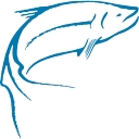Favicon of Wild Salmon Center