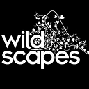 Wildscapes Cic logo