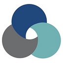 Wild Search logo